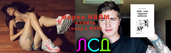 стаф Бронницы