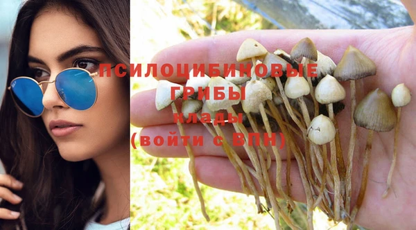 таблы Богородск