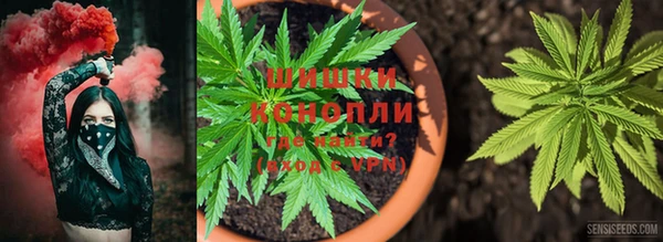 COCAINE Бородино