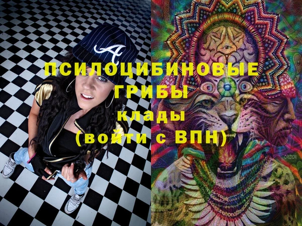 стаф Бронницы