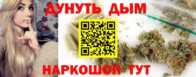 крисы Ливны
