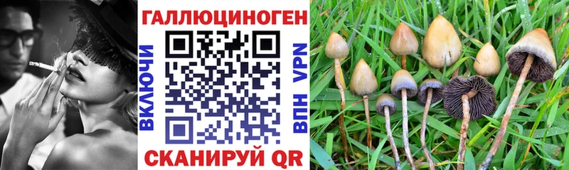 Псилоцибиновые грибы GOLDEN TEACHER  Гулькевичи 