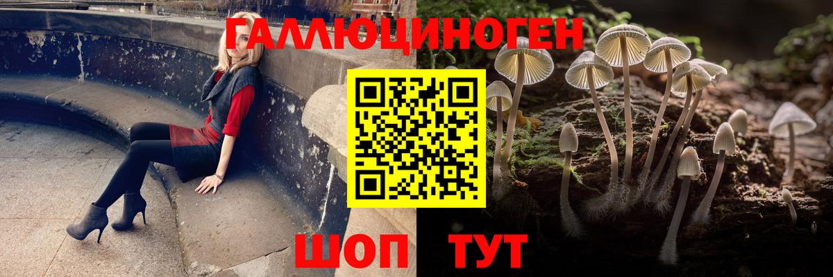 Галлюциногенные грибы Cubensis Гулькевичи